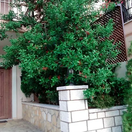 Chrysandra Apartment *