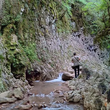 Apartment Chrysandra Karpenisi