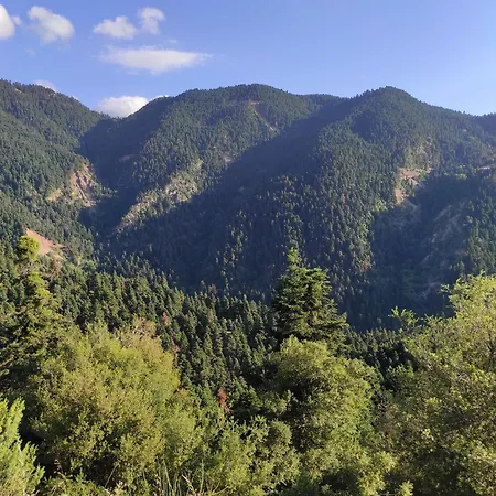 Chrysandra Karpenísion