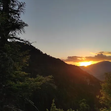 Chrysandra * Karpenisi