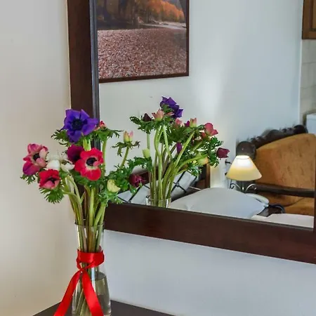 Chrysandra Apartment